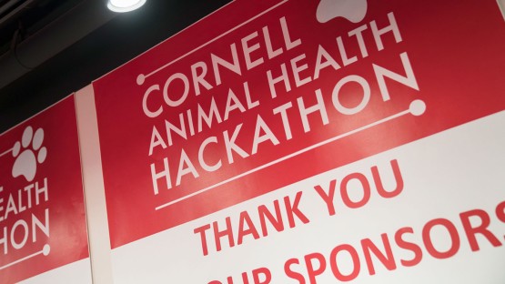 Student innovation shines in Animal Health Hackathon