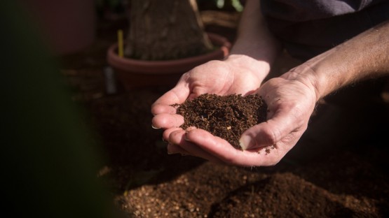 Cornell-inspired NY soil law buoys climate-change resilience - Vimarsana News