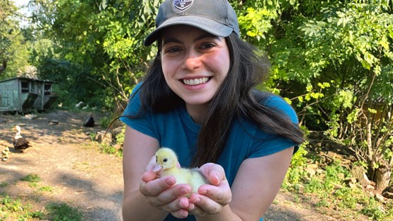 Ukrainian veterinary student looks homeward | Cornell Chronicle - Vimarsana News