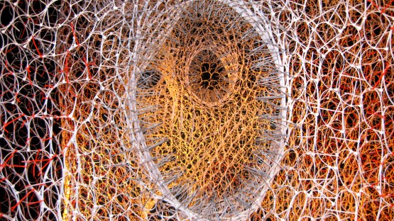 Shapeshifters: Can buildings behave like organisms? - Vimarsana News