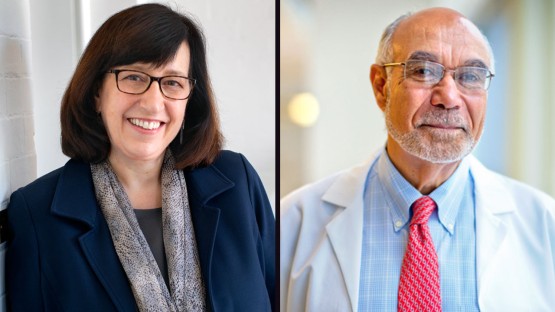 Pollack, Pape elected to arts and sciences academy - Vimarsana News