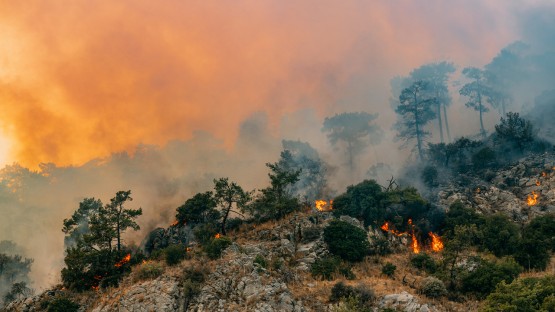 Cornell dashboard estimates mortality risk of wildfire smoke | Cornell Chronicle