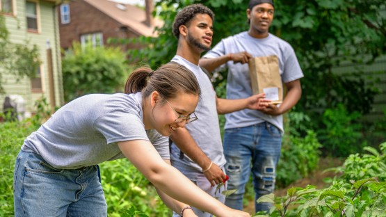 CCE interns recall summer experiences and community connections - Vimarsana News