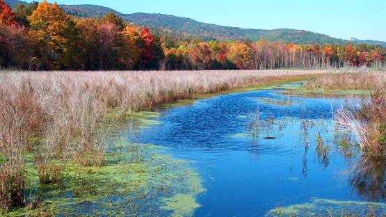 Cornell, DEC team up for green Hudson Valley land planning - Vimarsana News