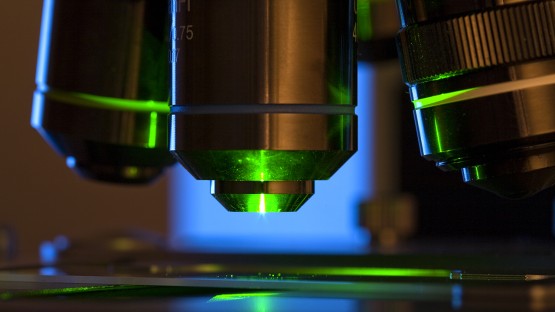 Cornell University startup, Ignite extension to benefit technology