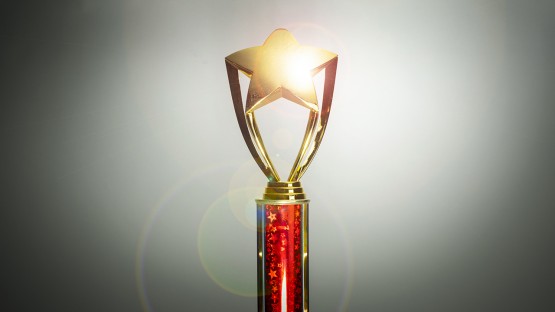 Community partnerships honored at 2021 TOGO awards - Vimarsana News