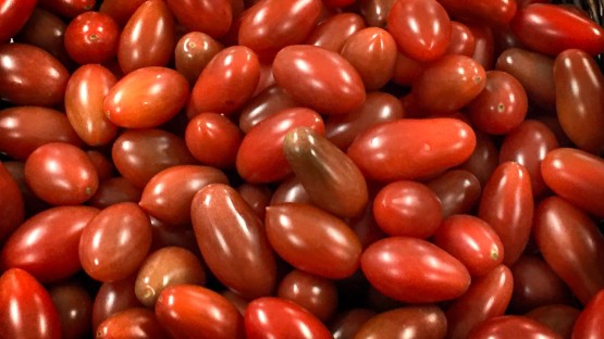 Moonshadow joins 'galaxy' of colorful tomatoes - Vimarsana News