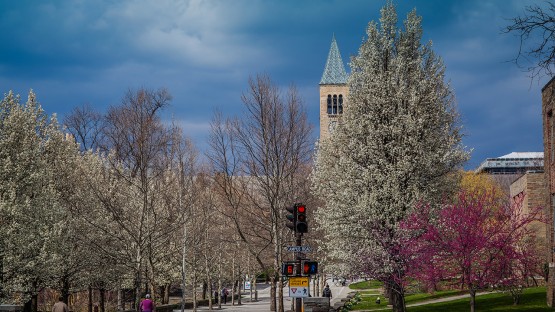 Pollack establishes Task Force on Undergraduate Admissions - Vimarsana News