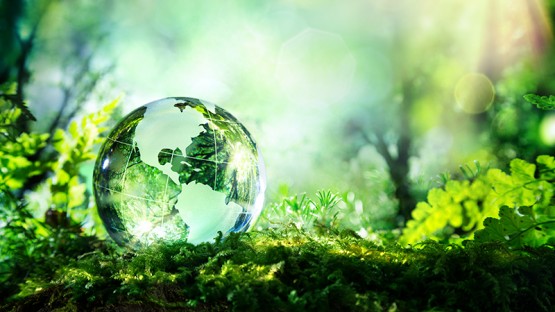 Cornell Atkinson announces $1.24M in joint EDF grants | Cornell Chronicle