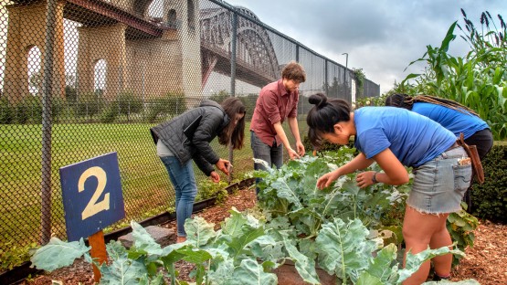 Cooperative Extension in NYC: 'Uniquely suited to help' - Vimarsana News