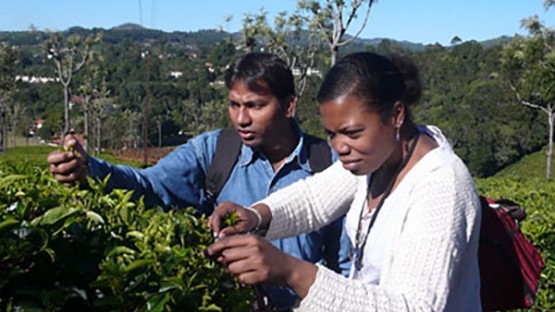 Hands across Asia: Cornell students join Indian and Thai ...