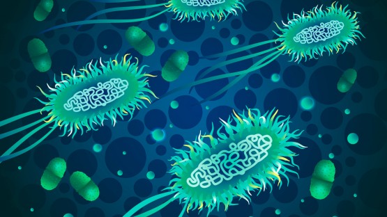 Gut fungi amplify inflammation in severe COVID-19 - Vimarsana News