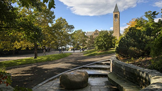 New trustees to join Cornell board