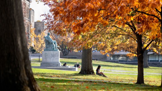 Students study and socialize on the Arts Quad.