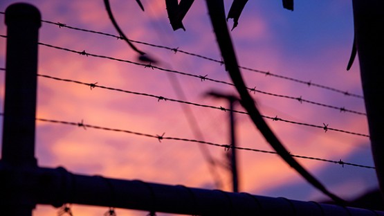 Experts: To save public health, release immigration detainees - Vimarsana News