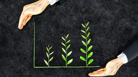 Environmental policies not always bad for business, study finds - Vimarsana News