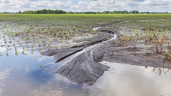 Climate change has cost 7 years of ag productivity growth - Vimarsana News