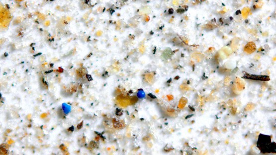 Atmospheric travel: Scientists are finding microplastics everywhere