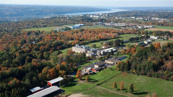 Cornell virologist elected president of world's foremost virology society - Vimarsana News