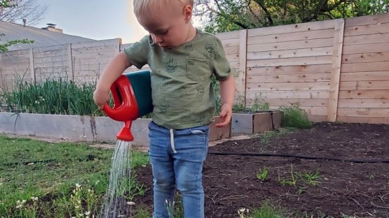 Cornellians have green thumbs | Cornell Chronicle - Vimarsana News
