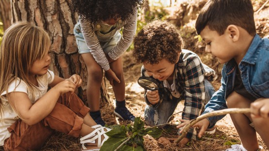 Cornell Atkinson, EDF partner on three sustainability projects - Vimarsana News