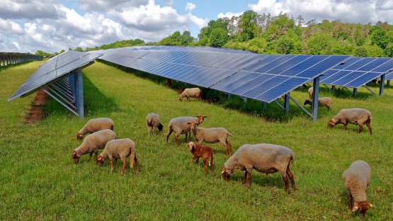 Engage public, explore methods to secure NYS green energy - Vimarsana News