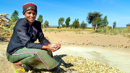 Tanzanian farmers boost diets with sustainable methods - Vimarsana News