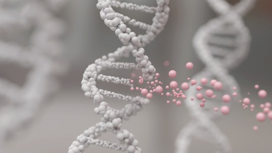 Study Reveals Genetic Complexity in Cancer Metastasis