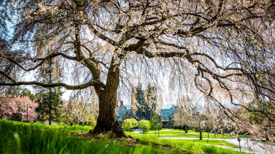Advising, teaching awards honor Arts and Sciences faculty - Vimarsana News