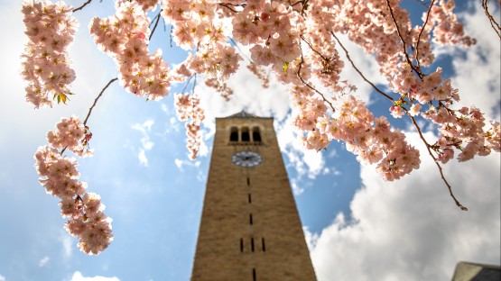 Alumni return to Cornell as key faculty in university initiatives - Vimarsana News