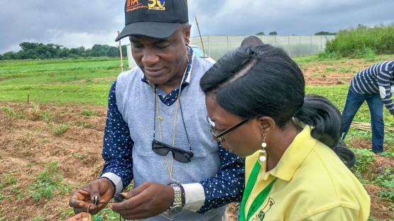 Deborah Oluwasanya, Ph.D. '20, right, and Martins Akeredolu, deputy head at International Institute of Tropical Agriculture, study flowering cassava a