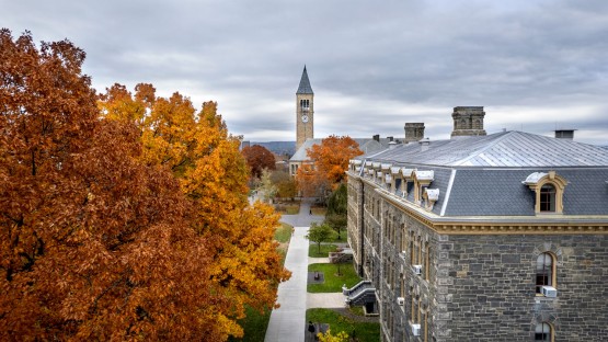 McGraw clocktower peeks out above the treetops along the Arts Quad.