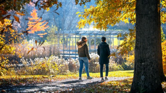 Visitors walk the path around Houston Pond at Newman Arboretum.