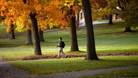 Fall colors blanket the Arts Quad.