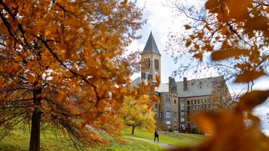 A student walks up Libe Slope.