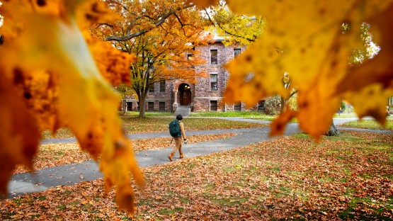 A student is framed by gold leaves on the Arts Quad.