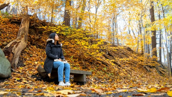 A student takes in the scenery along the Cascadilla Gorge Trail near Rhodes Hall.