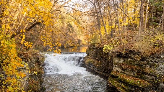 The Beebe Lake Natural Area is enveloped by fall.
