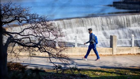 A bare tree frames a pedestrian near Beebe Lake.