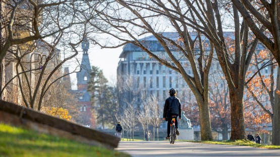 A student bikes to class through the Arts Quad on a sunny December afternoon. 