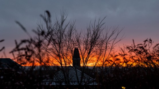 Sunset on campus as seen from the Physical Sciences Building.