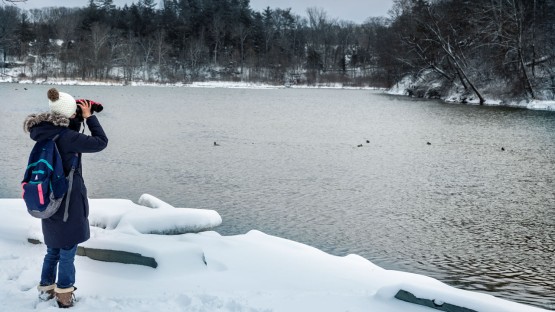 A member of the Cornell Birding Club looks across Beebe Lake.