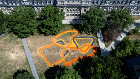 View of lawn art on Arts Quad