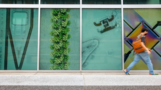 Students pass by a mural of microscopic images at the Physical Science Building.