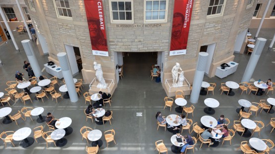 Klarman Hall Atrium in the summer.