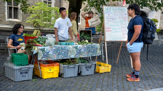 Members of the Dilmun Hill Student Farm sell produce on Ho Plaza.