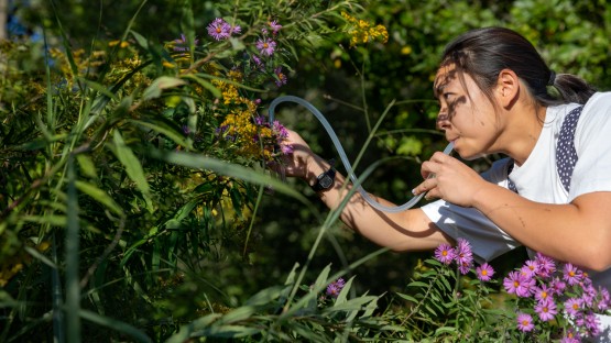 Entomology student collects insects with an aspirator at Beebe Lake