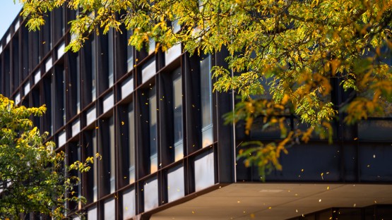 Fall comes to campus.