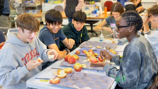 Students in the Plant Science 1101 class explore the composition of apples at Cornell Orchards.