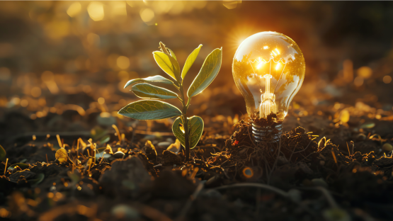 SPROUT Awards support 6 novel research collaborations | Cornell Chronicle
